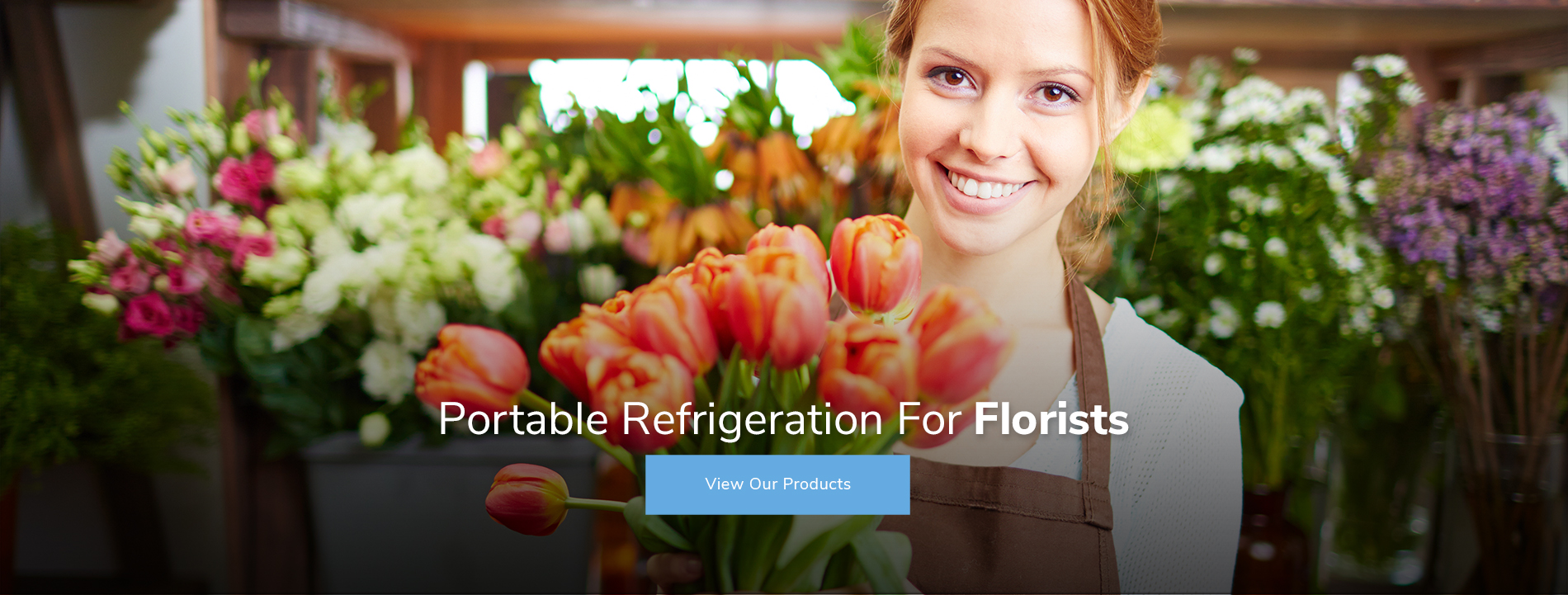 slide32_option_4702_6